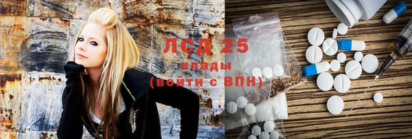 ГАЛЛЮЦИНОГЕННЫЕ ГРИБЫ Алексин