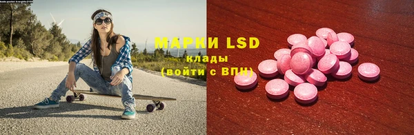 ГАЛЛЮЦИНОГЕННЫЕ ГРИБЫ Алексин