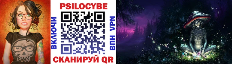 закладки  Ишим  Галлюциногенные грибы Psilocybe 